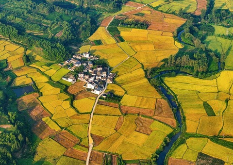 ���ճ�̨�����ռ����������� Ϊ������һ��������ע��ռ䶯��