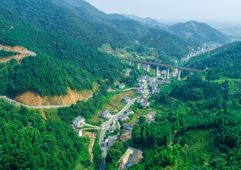 ���γ�500��Ķ��Ͷ��196�ڣ�����ʡ2025������22��ȫ�������ۺ�������Ŀ����