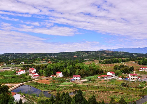 ���ϣ�2026�����ǰʵ�����������������ȫ����