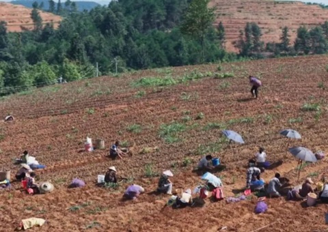 ͭ����ɽ̽���ָ��û���Чʹ��·��