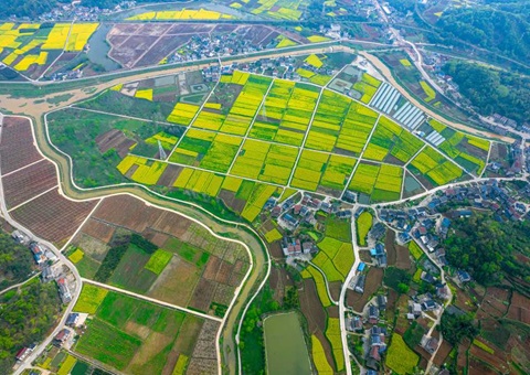 ����ʡ��Ȼ��Դ�������ص�ũҵ��ҵ������������