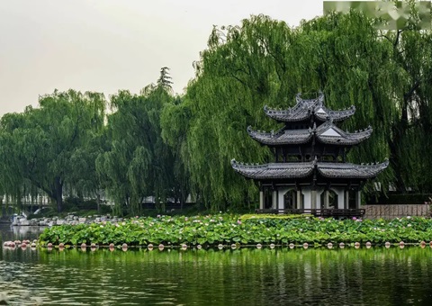 ���������꽫��25�����ἶ��԰��������Ȧ   ��2035��ȫ�����ֹ�԰����1300��