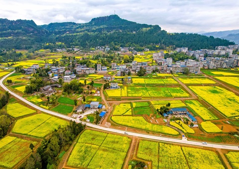 �Ĵ��ѿ������ش���ר��ծȯ186.66��Ԫ