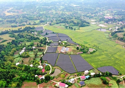 ��������ı����������12��Ķ�ֵؾ���Ǳ��