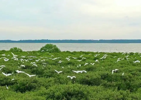 ���ޣ��㶫���조��̼����������·����������������Ⱥӣ�